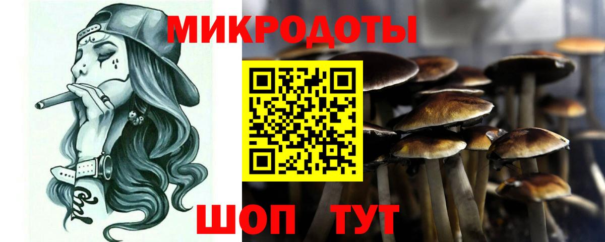 Кропоткин  Псилоцибиновые грибы прущие грибы  Вход с VPN 